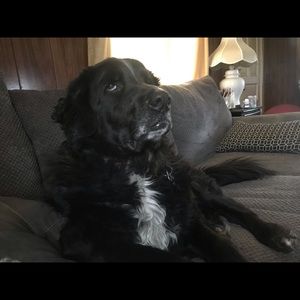 Meet your Posher, Jaimie